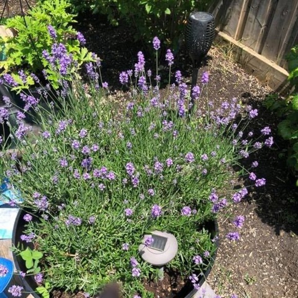 Meet your Posher, Classy Classic VintageTreasures finds - Picture 1 of 1